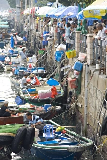 Hong Kong Prints: Fishing boats, Sai Kung, New Territories, Hong Kong, China, Asia