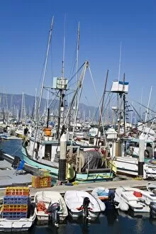 Images Dated 14th July 2009: Fishing boats, Santa Barbara Harbor, California, United States of America, North America