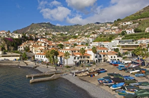 Images Dated 30th November 2009: Fishing boats in the small south coast harbour of Camara de Lobos, Madeira