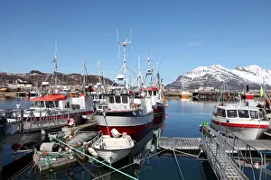 Whale Island Prints: Fishing boats in Tomvik harbour