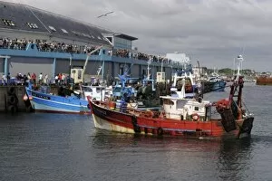 Images Dated 2nd July 2009: Fishing boats unloading their catch, Guilvinec, Finistere, Brittany, France, Europe