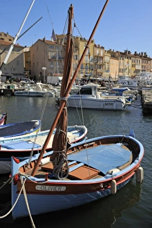 Vieux Port Prints: Fishing boats in Vieux Port harbour, St. Tropez, Var, Provence, Cote d Azur