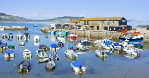 Sailboats Prints: Fishing boats and yachts in the Jurassic Coast harbour at Lyme Regis