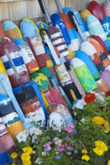 Images Dated 15th October 2007: Fishing buoys in Rockport, Cape Ann, Greater Boston Area, Massachusetts