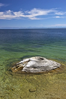 Pressure Prints: Fishing Cone, West Thumb Geyser Basin