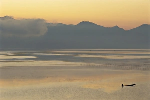 Images Dated 13th November 2008: Fishing at dawn, Inle Lake, Shan State, Myanmar (Burma), Asia