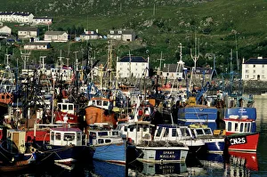 Highland Prints: Fishing fleet in harbour