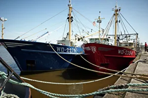 Quays Prints: Fishing fleet, Wexford, Leinster, Republic of Ireland, Europe