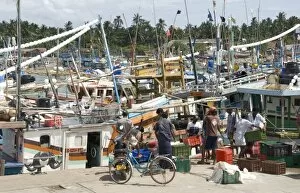 Fishing harbour, built with US Aid after the 2004 Asian tsunami, Purunawella
