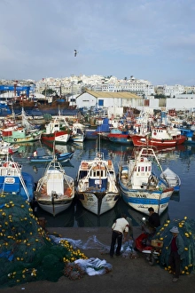 Fishing Net Prints: Fishing harbour and the Medina (Old City), Tangier, Morocco, North Africa, Africa
