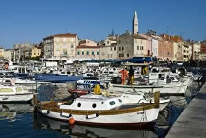 Fishing harbour and St. Euphemias Church, Rovinj, Istria, Croatia, Adriatic, Europe