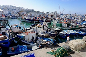 Crowded Prints: Fishing harbour, Tangier, Morocco, North Africa, Africa