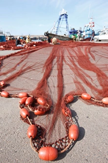 Images Dated 17th April 2008: Fishing nets, Agadir, Morocco, North Africa, Africa