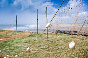 Fishing Nets Prints: Fishing nets drying, Gourdon Bay, Scotland, United Kingdom, Europe