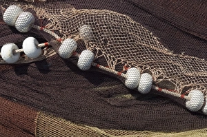 Netting Prints: Fishing nets, Saint Jean de Luz (St. -Jean-de-Luz), Basque country, Pyrenees-Atlantiques