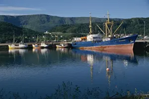 Alesund Prints: Fishing port, Alesund, Norway, Scandinavia, Europe