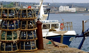Manche Prints: Fishing port of Barneville-Carteret, Cotentin Peninsula, Cote de Nacre