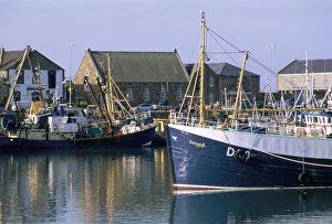 Dublin Prints: Fishing port of Howth