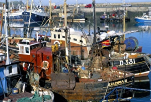 Fishing port of Howth