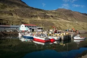 Moor Collection: The fishing port of Nordurfjordur, Arneshreppur, West Fjords, Iceland, Polar Regions