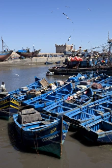 Search Results: Fishing port with traditional boats in front of the old fort, Essaouira, Atlantic coast, Morocco