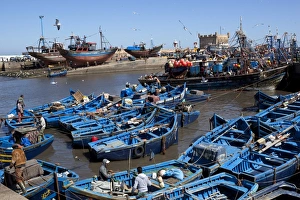 Search Results: Fishing port with traditional boats in front of the old fort, Essaouira, Atlantic coast, Morocco