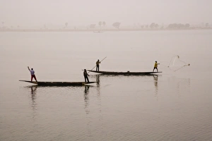 Delta Prints: Fishing on the river Niger, Niger Inland Delta, Segou region, Mali, West Africa, Africa