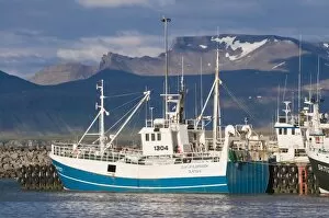 Images Dated 12th June 2009: Fishing trawler lying in the habour of Olavsvik, Western Iceland, Polar Regions