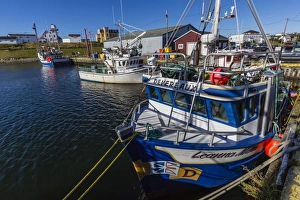 Ports Prints: Fishing vessels inside the harbor at Bonavista, Newfoundland, Canada, North America