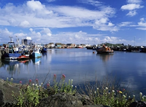 Fishing vessels moored along the West Pier
