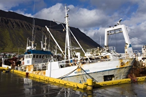 Isafjordur Prints: Fishing vessels, Port of Isafjordur, West Fjords Region, Iceland, Polar Regions