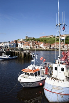 Fising boats in the Upper Harbour at Whitby, North Yorkshire, Yorkshire, England, United Kingdom, Europe