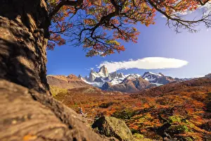 Cruz Prints: Fitz Roy mountain framed by autumn trees during sunrise