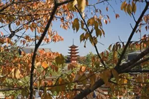 Images Dated 17th November 2007: Five-story Pagoda
