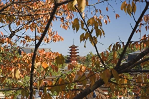 Images Dated 17th November 2007: Five-story Pagoda
