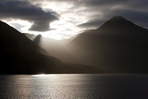 Sun Lit Prints: Fjord, Thomson Sound, South Island, New Zealand, Pacific