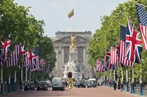 Buckingham Palace Collection: Flags lining the Mall to Buckingham Palace for President Obamas State Visit in 2011, London