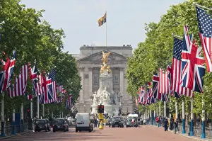 Buckingham Palace Prints: Flags lining the Mall to Buckingham Palace for President Obamas State Visit in 2011