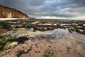 Overcast Prints: Toward Flamborough Head from Sewerby Rocks