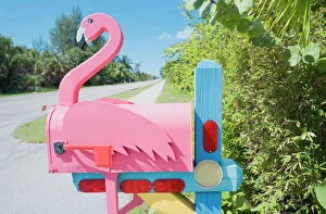 Images Dated 21st November 2007: Flamingo made of wood attached to pink mailbox, Sanibel Island, Florida