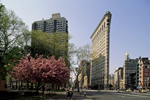New York State Prints: The Flatiron Building, W