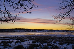 Solway Firth Prints: Fleet Bay in winter snow, Solway Firth