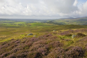 Images Dated 2nd September 2009: Fleet Valley from Castramont Hill, Dumfries and Galloway, Scotland, United Kingdom, Europe