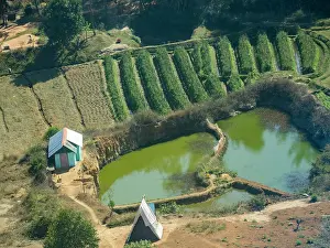 Small Prints: Flight over terraced farmlands in Madagascar showing crops, ponds, and rural structures