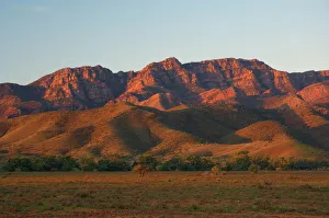 Images Dated 2nd January 2000: Flinders Ranges, Flinders Ranges National Park, South Australia, Australia, Pacific