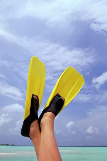 Images Dated 5th August 2008: Flippers, North Male Atoll