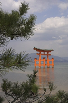Floating torii