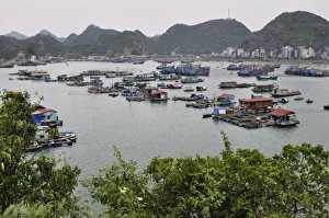 Indo China Prints: Floating village in Cat Ba Harbour, Cat Ba Island, Vietnam, Indochina, Southeast Asia