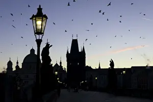 A flock of birds flies on the historical Charles Bridge on Vltava River at dawn