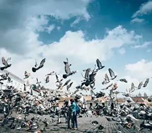 Action Prints: A flock of pigeons fly in front of San Francisco Square in the heart of Quito, Ecuador